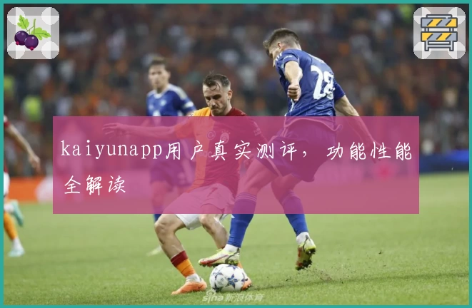 kaiyunapp用户真实测评，功能性能全解读