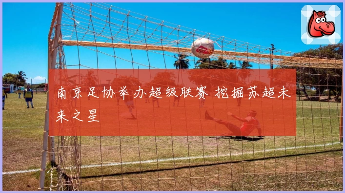 南京足协举办超级联赛 挖掘苏超未来之星