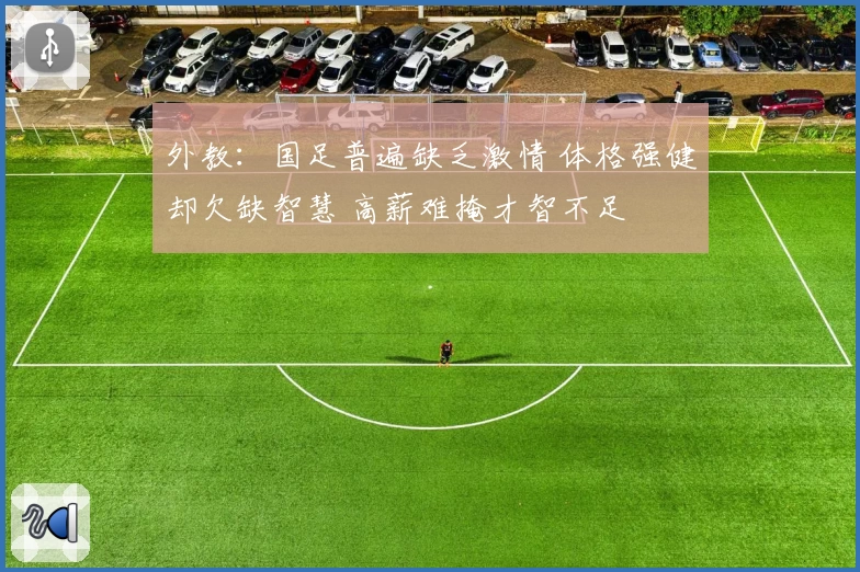 外教：国足普遍缺乏激情 体格强健却欠缺智慧 高薪难掩才智不足