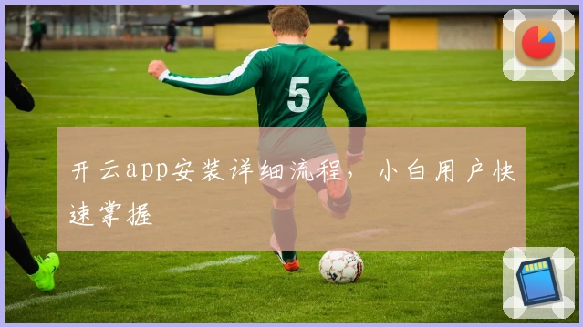 开云app安装详细流程，小白用户快速掌握