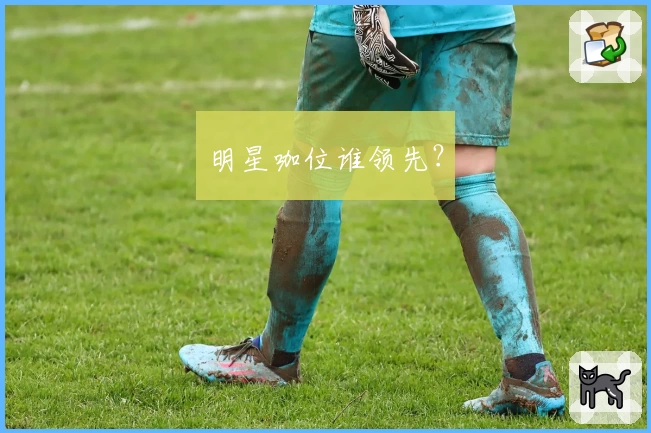 明星咖位谁领先?